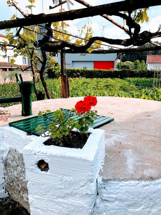 Casinha da Avó Rosário Juncal (Leiria) Exterior foto